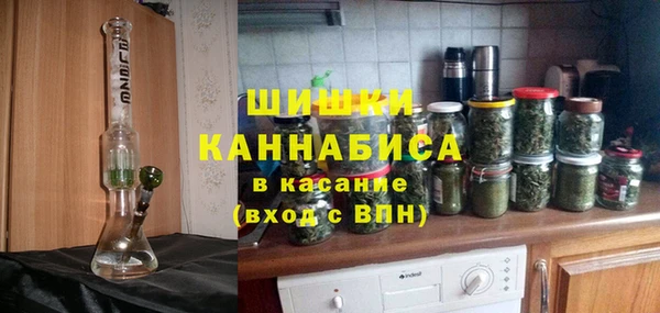 крисы Покачи